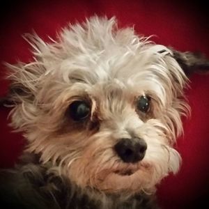 Meet your Posher, Vickie